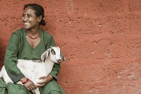 The Pavilions Himalayas The Farm