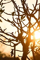 Rupar Mandalar Resort