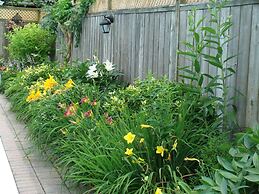 Robinsong Bed and Breakfast