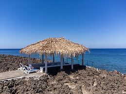 Seagrape Plantation Resort