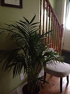 Rice House Vacation Rental