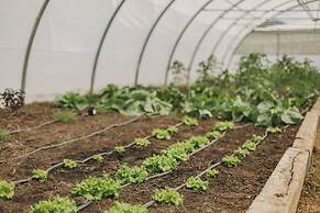 Santa Barbara Eco Beach Resort