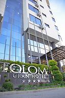 Gran Hotel Toloma