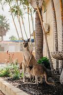 Kalbarri Edge Resort