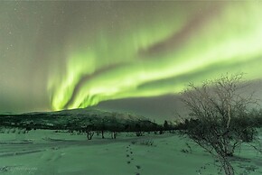 Abisko Guesthouse  & Activities