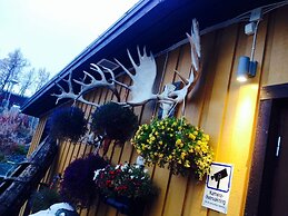 Abisko Guesthouse  & Activities