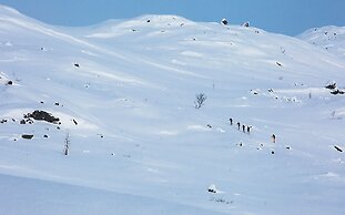 Abisko Guesthouse  & Activities
