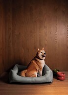 HYATT - EPISODE Daan Taipei, jdv by Hyatt