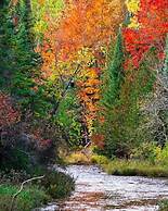 A Breath of Heaven B&B