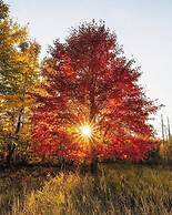 A Breath of Heaven B&B