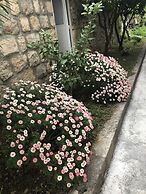 California Apartments