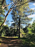 The Dudley Boutique Hotel