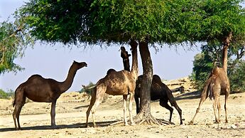 Damodra Desert Camp