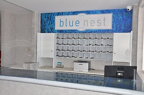 Blue Nest