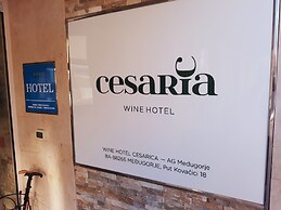 Wine Hotel Cesarica