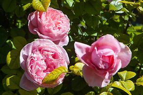 Hotel Agroturismo Possessió Binicomprat