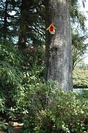 Park Motel and Cabins