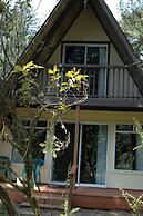 Park Motel and Cabins