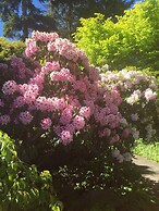 The Flying Trout Boutique Lodge