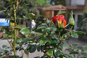 Agri Art Croce Vallone