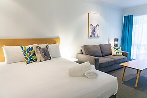 Port Stephens Koala Sanctuary