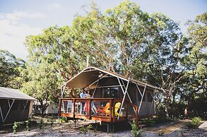 Port Stephens Koala Sanctuary