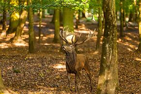 Natur-Resort Tripsdrill