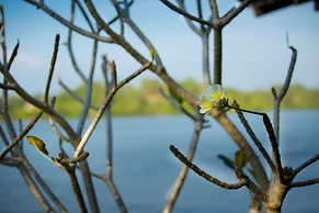 The River House by Asia Leisure