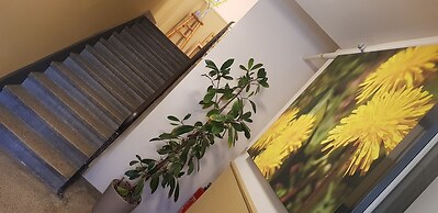 Easy-Living Apartments Lindenstrasse 21