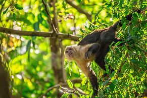 Chosa Manglar Nature Retreat
