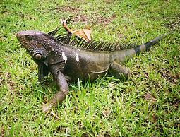 Chosa Manglar Nature Retreat