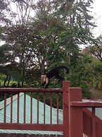 Chosa Manglar Nature Retreat