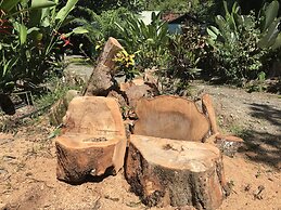 Chosa Manglar Nature Retreat