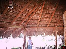 Chosa Manglar Nature Retreat