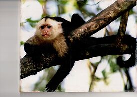 Chosa Manglar Nature Retreat