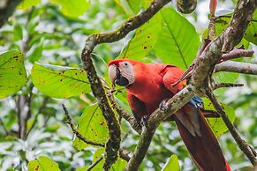 Chosa Manglar Nature Retreat