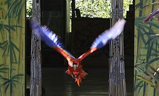 Chosa Manglar Nature Retreat