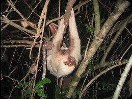 Chosa Manglar Nature Retreat