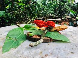 Chosa Manglar Nature Retreat