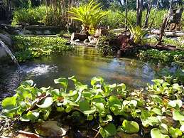 Chosa Manglar Nature Retreat