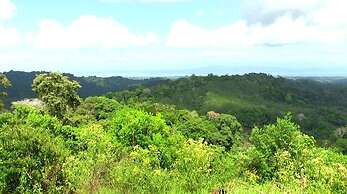 Chosa Manglar Nature Retreat