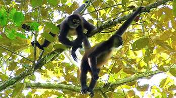 Chosa Manglar Nature Retreat