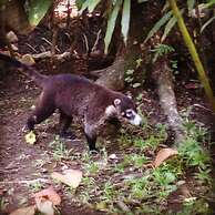 Chosa Manglar Nature Retreat