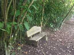 Chosa Manglar Nature Retreat