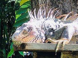 Chosa Manglar Nature Retreat