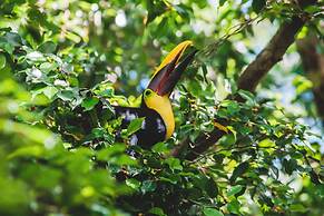 Chosa Manglar Nature Retreat