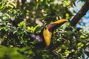 Chosa Manglar Nature Retreat