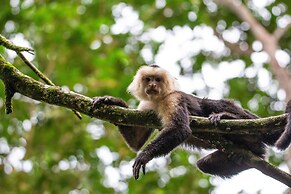 Chosa Manglar Nature Retreat