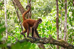 Chosa Manglar Nature Retreat