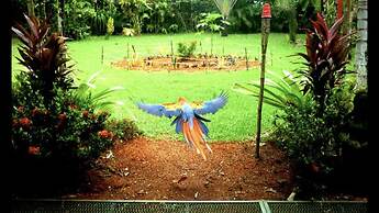 Chosa Manglar Nature Retreat